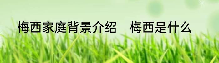 梅西家庭背景介绍　梅西是什么