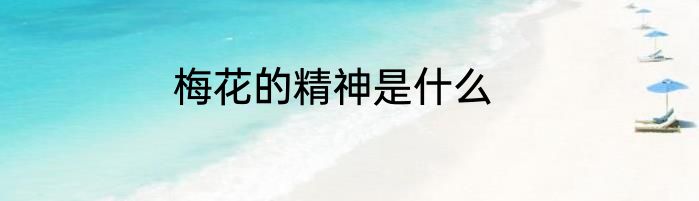 梅花的精神是什么