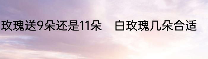 玫瑰送9朵还是11朵　白玫瑰几朵合适