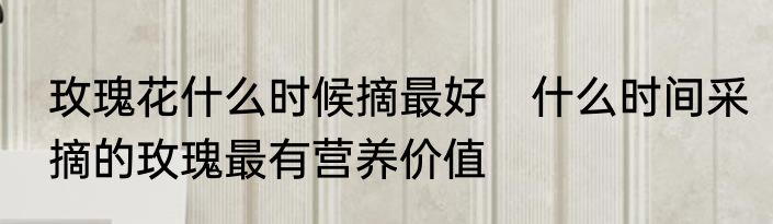 玫瑰花什么时候摘最好　什么时间采摘的玫瑰最有营养价值