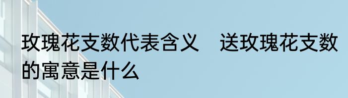 玫瑰花支数代表含义　送玫瑰花支数的寓意是什么
