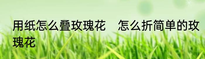 用纸怎么叠玫瑰花　怎么折简单的玫瑰花