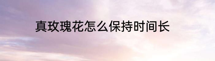 真玫瑰花怎么保持时间长