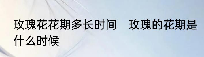 玫瑰花花期多长时间　玫瑰的花期是什么时候