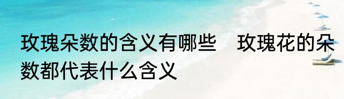 玫瑰朵数的含义有哪些　玫瑰花的朵数都代表什么含义