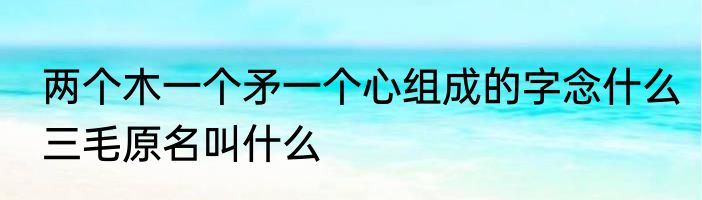 两个木一个矛一个心组成的字念什么　三毛原名叫什么