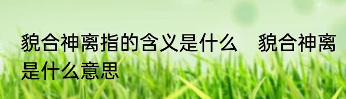 貌合神离指的含义是什么　貌合神离是什么意思