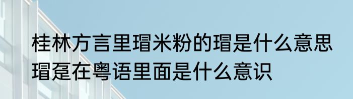 桂林方言里瑁米粉的瑁是什么意思　瑁趸在粤语里面是什么意识