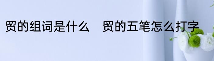 贸的组词是什么　贸的五笔怎么打字