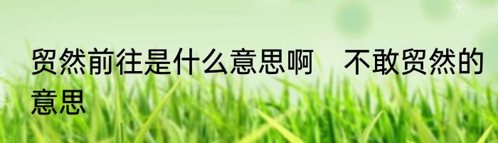 贸然前往是什么意思啊　不敢贸然的意思