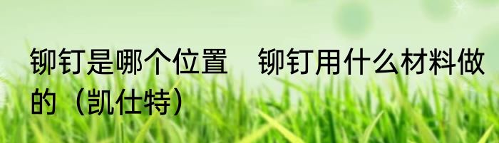 铆钉是哪个位置　铆钉用什么材料做的（凯仕特）