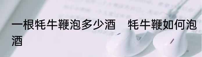 一根牦牛鞭泡多少酒　牦牛鞭如何泡酒