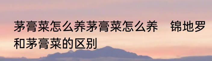 茅膏菜怎么养茅膏菜怎么养　锦地罗和茅膏菜的区别