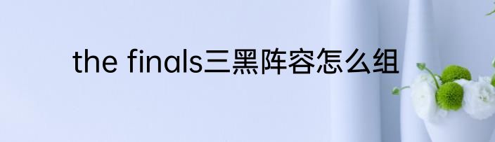 the finals三黑阵容怎么组