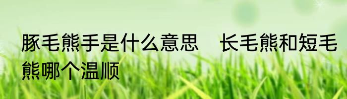 豚毛熊手是什么意思　长毛熊和短毛熊哪个温顺
