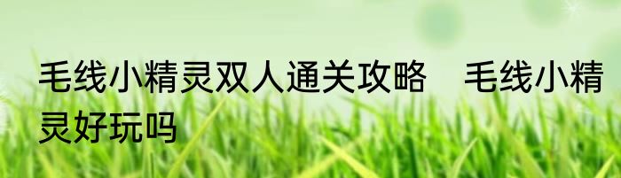 毛线小精灵双人通关攻略　毛线小精灵好玩吗