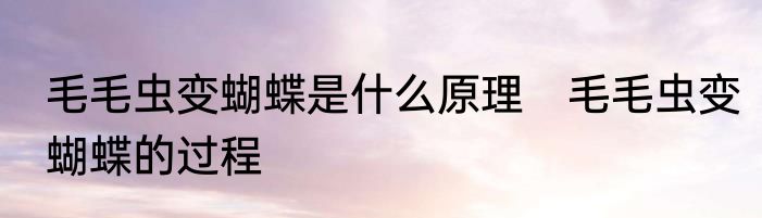 毛毛虫变蝴蝶是什么原理　毛毛虫变蝴蝶的过程
