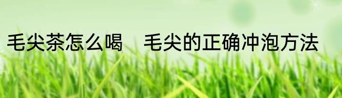 毛尖茶怎么喝　毛尖的正确冲泡方法