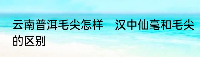 云南普洱毛尖怎样　汉中仙毫和毛尖的区别