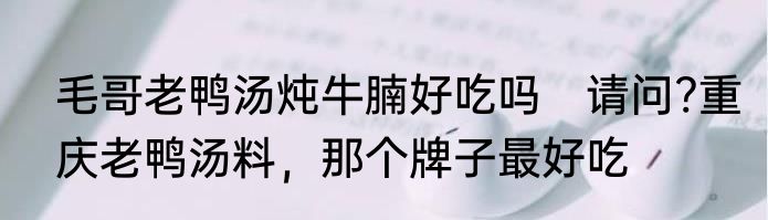 毛哥老鸭汤炖牛腩好吃吗　请问?重庆老鸭汤料，那个牌子最好吃