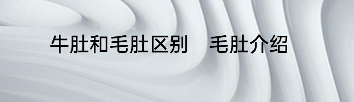 牛肚和毛肚区别　毛肚介绍