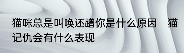 猫咪总是叫唤还蹭你是什么原因　猫记仇会有什么表现