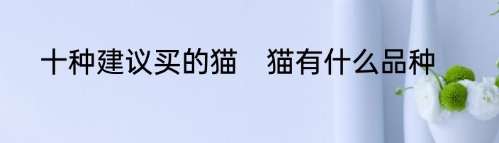 十种建议买的猫　猫有什么品种