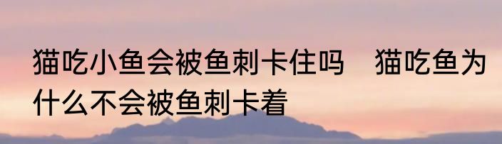 猫吃小鱼会被鱼刺卡住吗　猫吃鱼为什么不会被鱼刺卡着