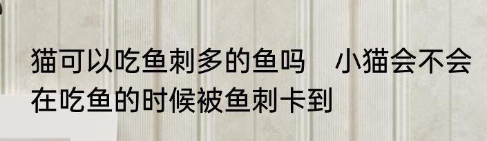 猫可以吃鱼刺多的鱼吗　小猫会不会在吃鱼的时候被鱼刺卡到