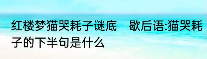 红楼梦猫哭耗子谜底　歇后语:猫哭耗子的下半句是什么