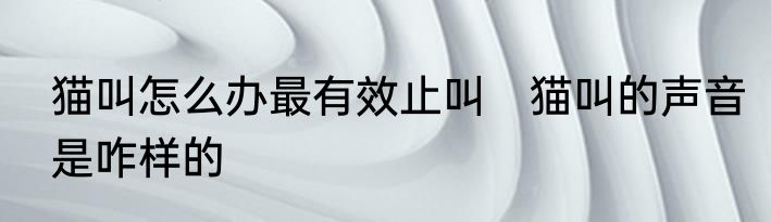 猫叫怎么办最有效止叫　猫叫的声音是咋样的