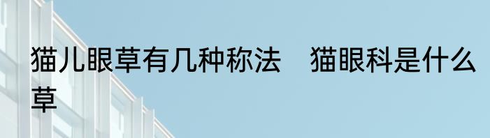 猫儿眼草有几种称法　猫眼科是什么草