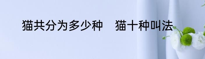 猫共分为多少种　猫十种叫法