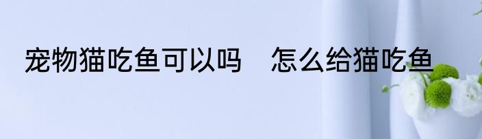 宠物猫吃鱼可以吗　怎么给猫吃鱼