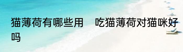 猫薄荷有哪些用　吃猫薄荷对猫咪好吗
