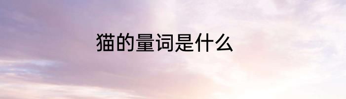 猫的量词是什么