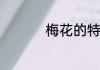 梅花的特点是什么词语