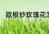 欧根纱玫瑰花怎么做手工制作过程