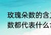 玫瑰朵数的含义有哪些　玫瑰花的朵数都代表什么含义