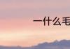 一什么毛毛细雨填量词