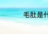 毛肚是什么　毛肚介绍