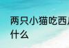 两只小猫吃西瓜的故事　猫咪上火吃什么