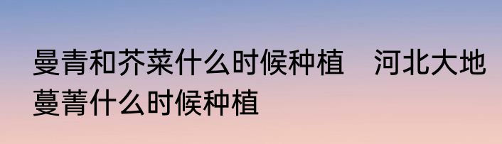 曼青和芥菜什么时候种植　河北大地蔓菁什么时候种植