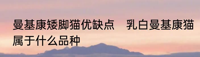 曼基康矮脚猫优缺点　乳白曼基康猫属于什么品种