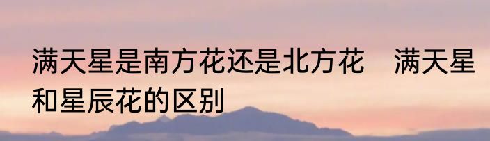 满天星是南方花还是北方花　满天星和星辰花的区别