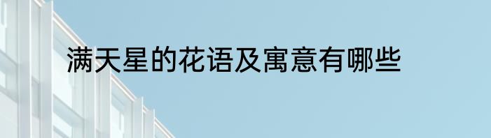满天星的花语及寓意有哪些