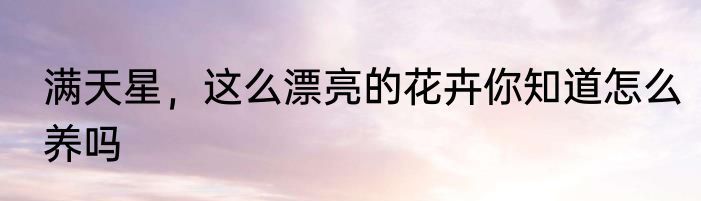 满天星，这么漂亮的花卉你知道怎么养吗
