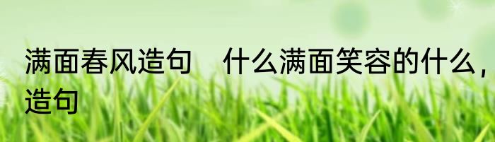 满面春风造句　什么满面笑容的什么，造句