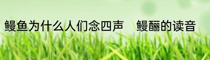 鳗鱼为什么人们念四声　鳗酾的读音