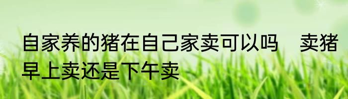 自家养的猪在自己家卖可以吗　卖猪早上卖还是下午卖